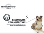 Pro-Nutrition | croquettes pour chiens et chats | Made in France