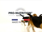 Pro-Nutrition | Croquettes chats & chiens | Made in France