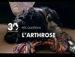 l'arthrose chez le chien vidéo_1