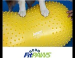 FitPaws Trax Peanut