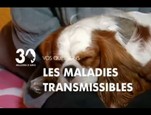 Les maladies transmissibles