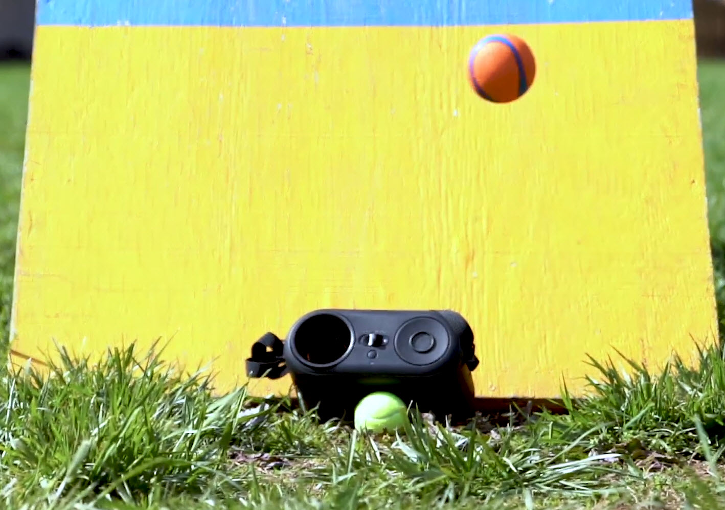 Lanceur de Balle - Ball Trainer Pro Dogtra