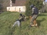Groupe Cynophile du GIGN vidéo_1