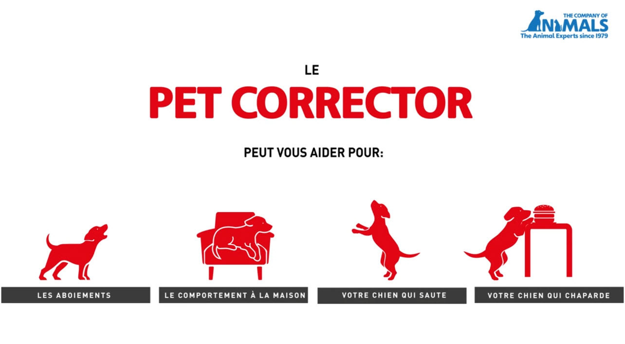 Un chien mieux duqu grce au Pet Corrector Morin