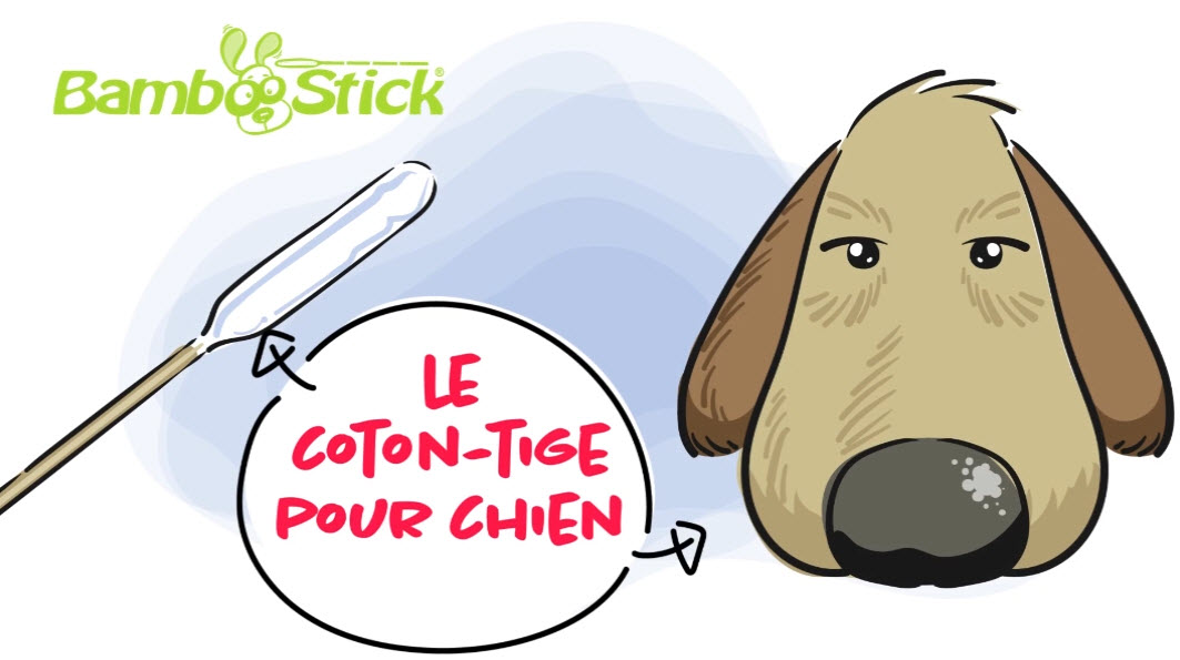 BambooStick - coton tige pour chien