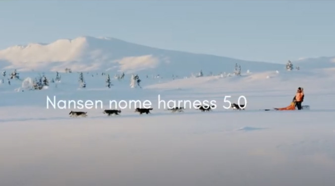 Harnais Nansen 5.0 Nome - NON-STOP Dogwear vidéo_1