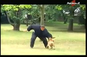 Présentation du CNFUC vidéo_1
