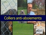 Collier anti-aboiement Innotek