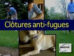 Clture anti-fugue Innotek