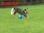 Boomer Ball